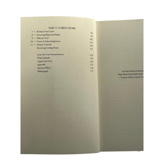 A Beautiful Homecoming by LaYinka Sanni