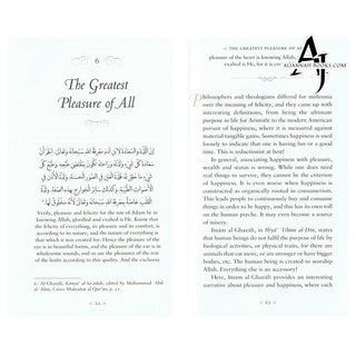 A Treasury of Ghazali : A Companion For The Untethered Soul (Treasury in Islamic Thought and Civilization) By Imam al-Ghazali