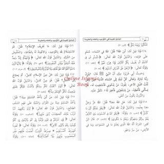 Al-Mubaadee Al-Mufeed المبادئ المفيدة (Arabic) by Yahya bin Ali al-Hajouri