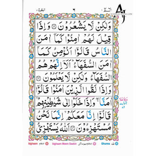 Alif Laam Meem Colour Coded Tajweed Rules : Persian ,Pakistani ,Indian Script,Ref 401