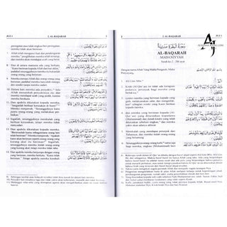 Quran In Indonesian Language (Al Quran Dan Terjemahnya) (Arabic To Indonesian Language)