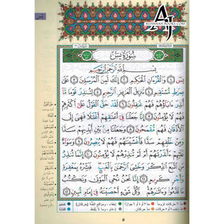 Tajweed Quran (Robo Yaseen) (Arabic Edition)