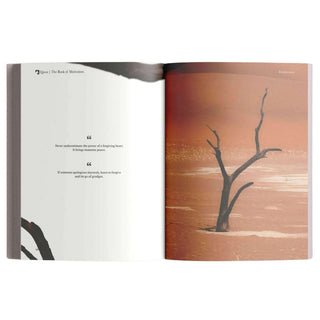 The Book of Motivation by Mufti Menk