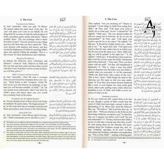 The Clear Quran with Arabic Text (Flexible Cover)