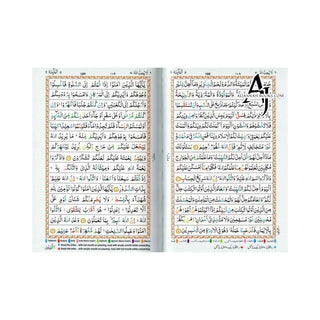 The Holy Quran Tajweed Rules with Colour Coded (Pocket Size) (Persian/Urdu script)