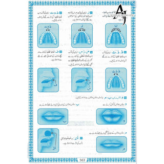 The Quran Arabic Only,16 Lines Pakistani / Indian/ Persian Script For Huffaz (Size 7.9 x 5.6 Inch) (Ref 7A) White Paper Blue Border,Medium Size