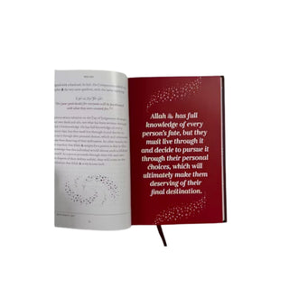 Why Me? Understanding One's Worldly Fate by Omar Suleiman