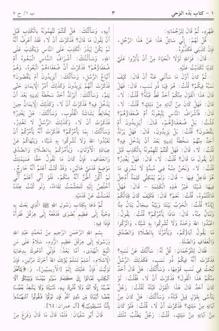 Sahih Al-bukhari (Arabic Language) (7 X 9.8 Inch) By Muhammad Bin Ismail Al-Bukhari