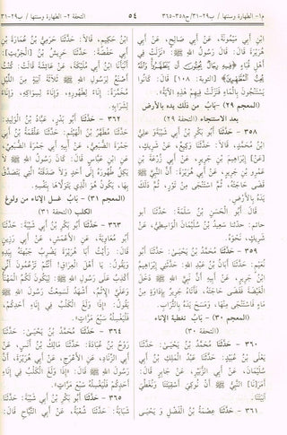 Sunan Ibn Majah (Arabic Only) By Hafiz Muhammad Ibn Majah